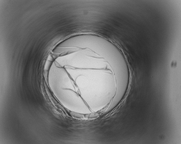 X0000114200145200911201008