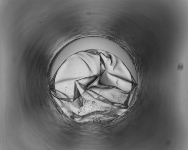 X0000114200146200911201008