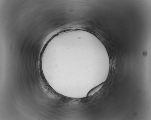 X0000114200148200911201008