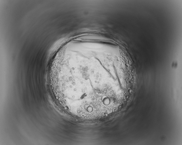 X0000114200149200911201008