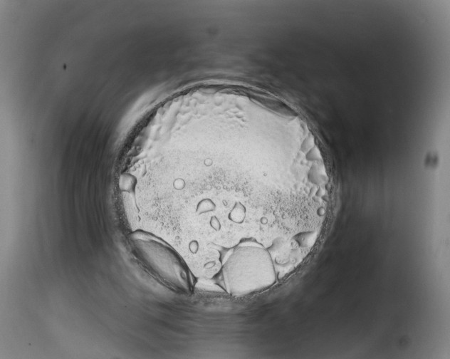 X0000114200151200911201008