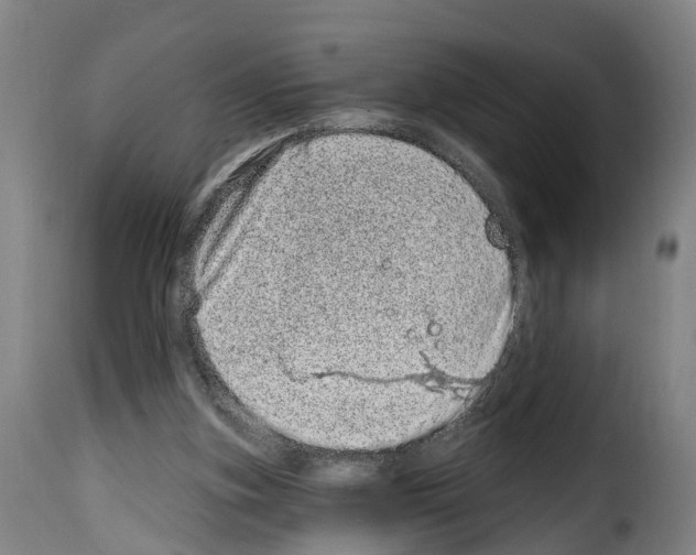 X0000114200155200911201008