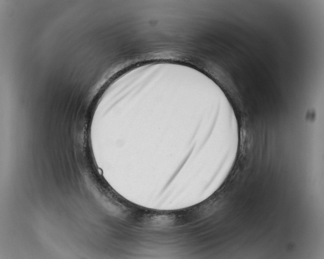 X0000114200156200911201008