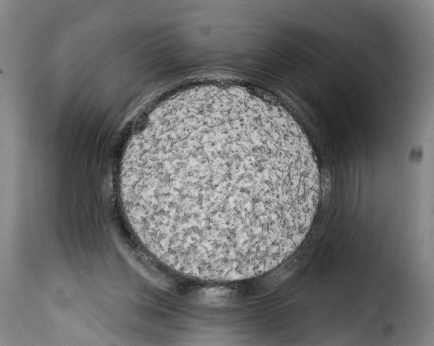 X0000114200158200911201008