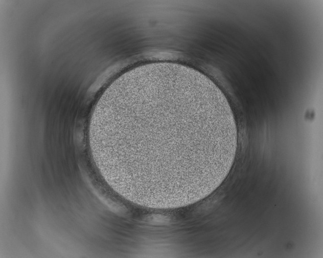 X0000114200159200911201008