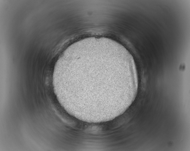 X0000114200161200911201008