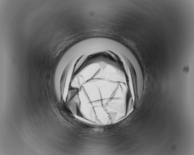 X0000114200162200911201008