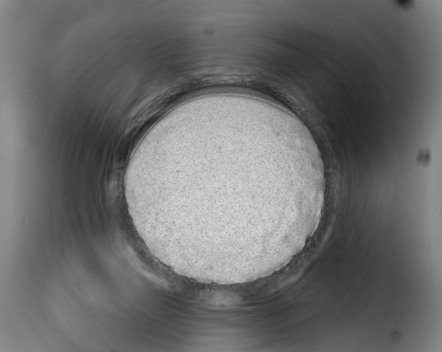 X0000114200165200911201008