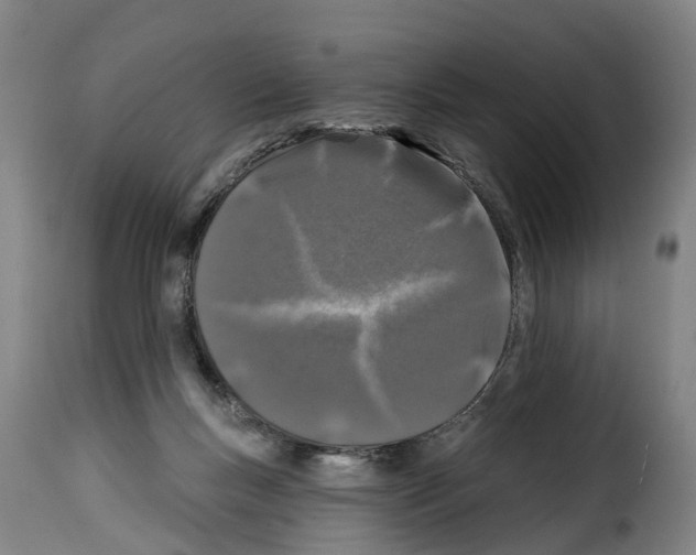 X0000114200167200911201008