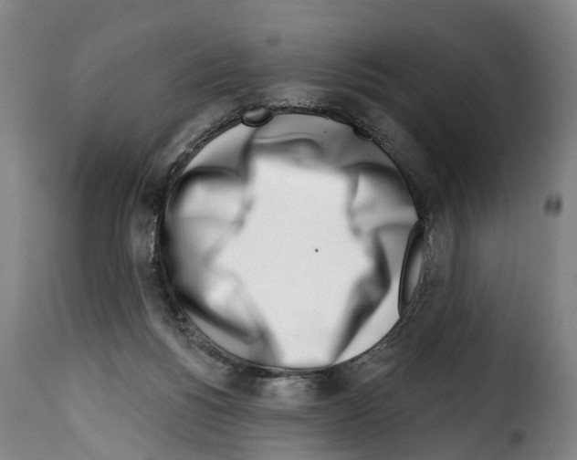 X0000114200168200911201008