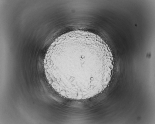 X0000114200169200911201008