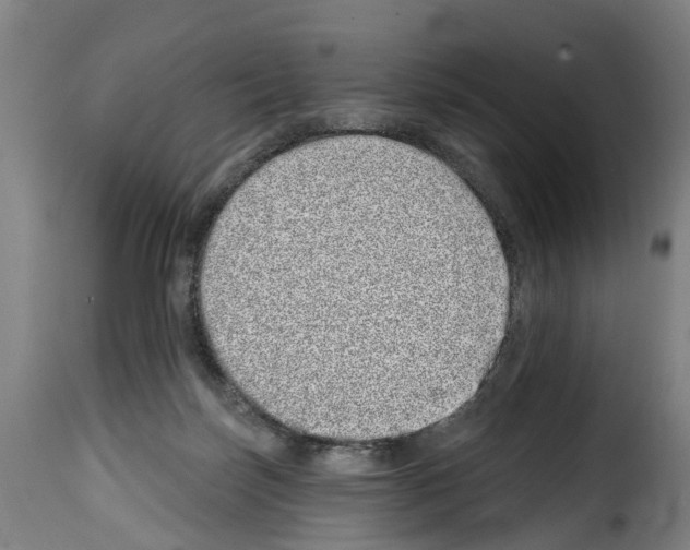 X0000114200171200911201008