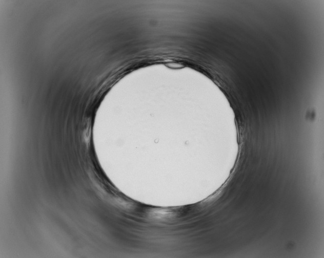 X0000114200174200911201008