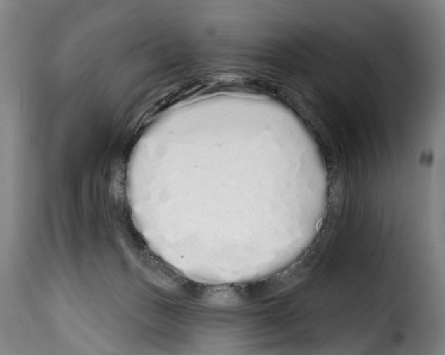 X0000114200175200911201008