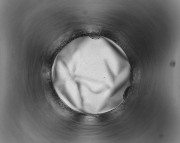 X0000114200176200911201008