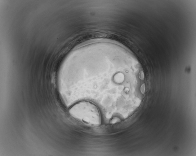 X0000114200178200911201008