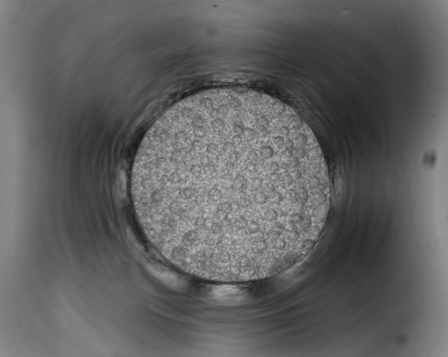 X0000114200183200911201008