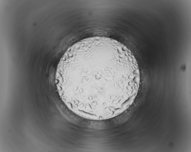 X0000114200185200911201008