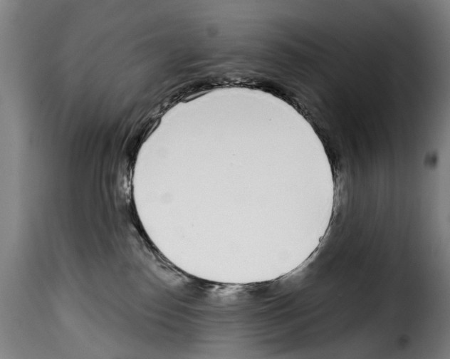 X0000114200186200911201008