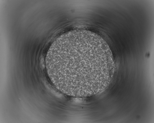 X0000114200187200911201008