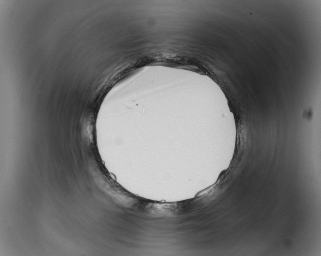 X0000114200188200911201009