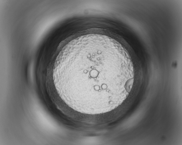 X0000114200189200911201009