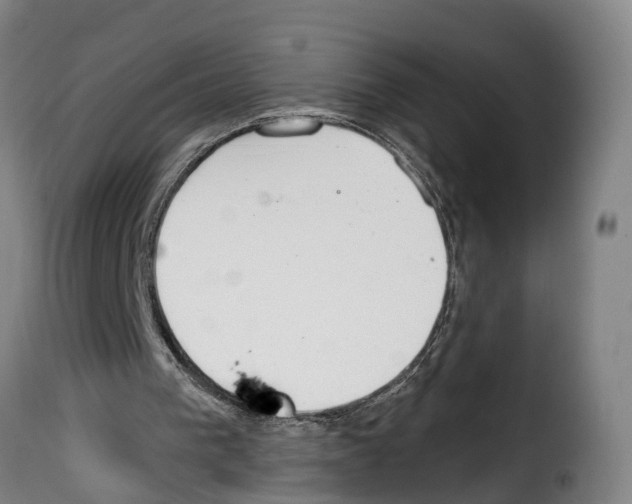 X0000114200193200911201008