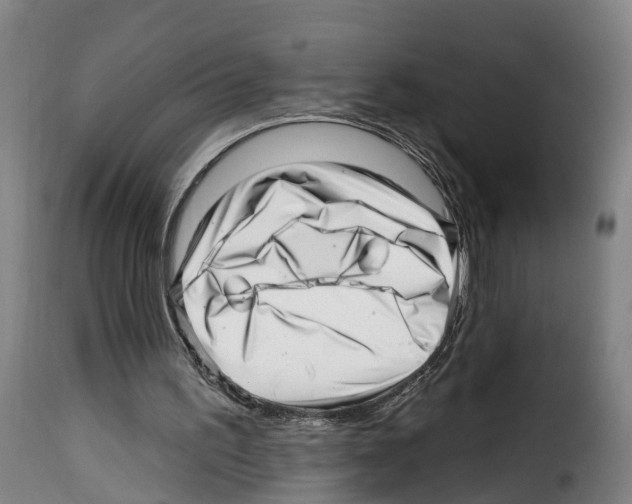 X0000114200195200911201008