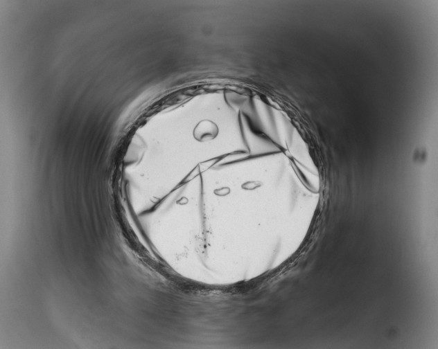 X0000114200197200911201008