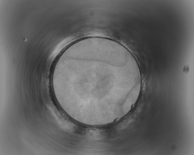 X0000114200199200911201008