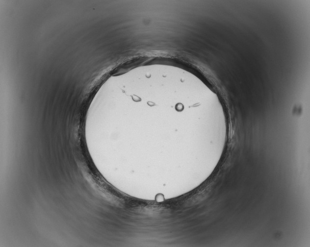 X0000114200201200911201008