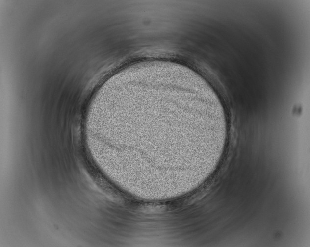 X0000114200202200911201008