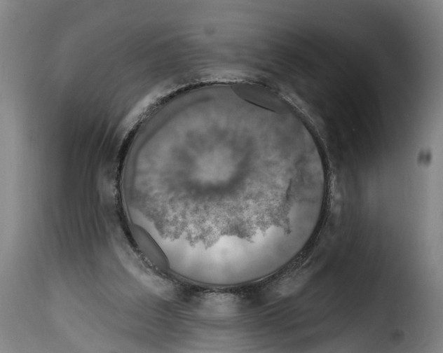 X0000114200203200911201008