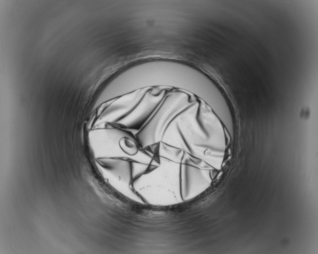 X0000114200205200911201008