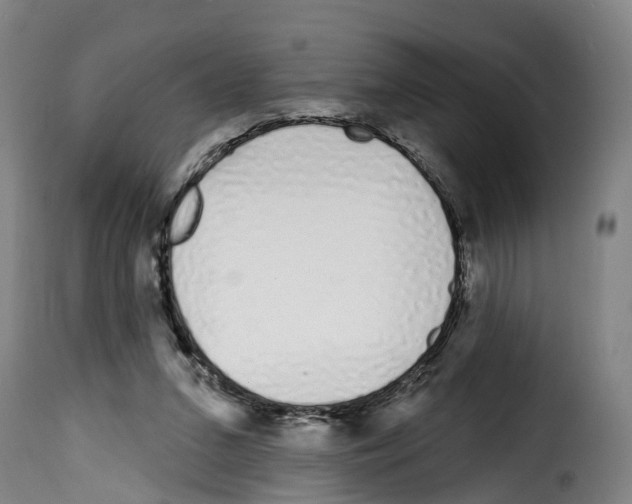 X0000114200207200911201008