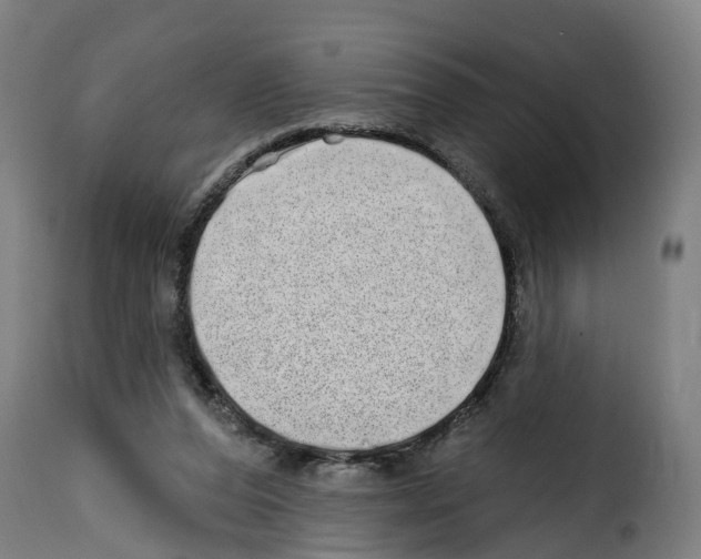 X0000114200208200911201008