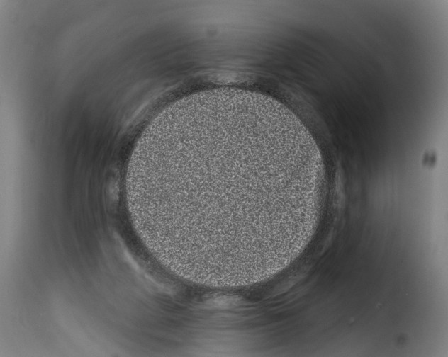 X0000114200210200911201008