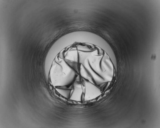 X0000114200213200911201008