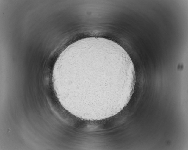 X0000114200214200911201008