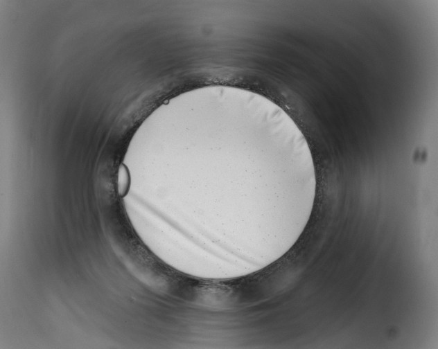 X0000114200215200911201008