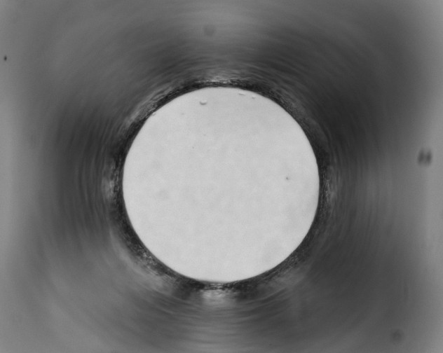 X0000114200216200911201008