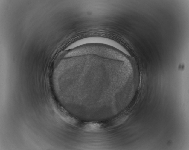 X0000114200217200911201008