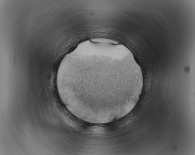 X0000114200219200911201008