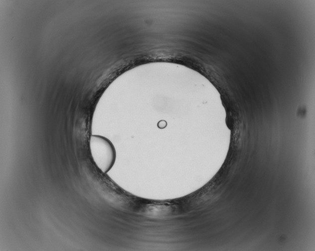 X0000114200220200911201008