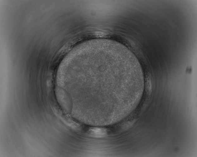 X0000114200221200911201008