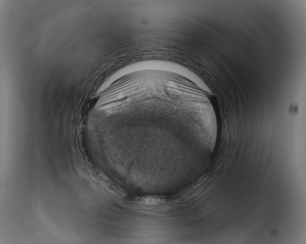 X0000114200223200911201007