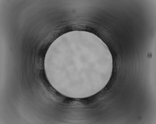 X0000114200224200911201007