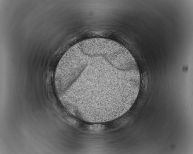 X0000114200225200911201007