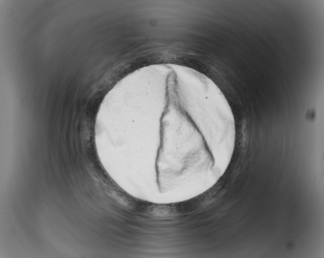 X0000114200230200911201007