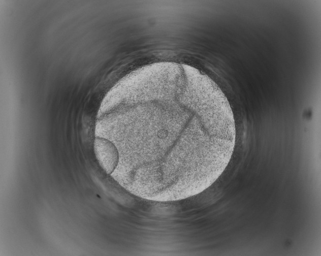 X0000114200234200911201007